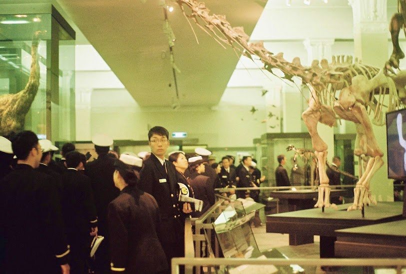 A school group viewing a dinosaur skeleton in a museum