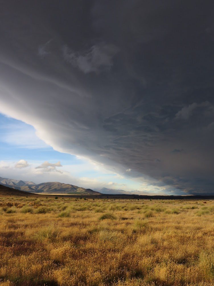 A dramatic storm front over golden grassland