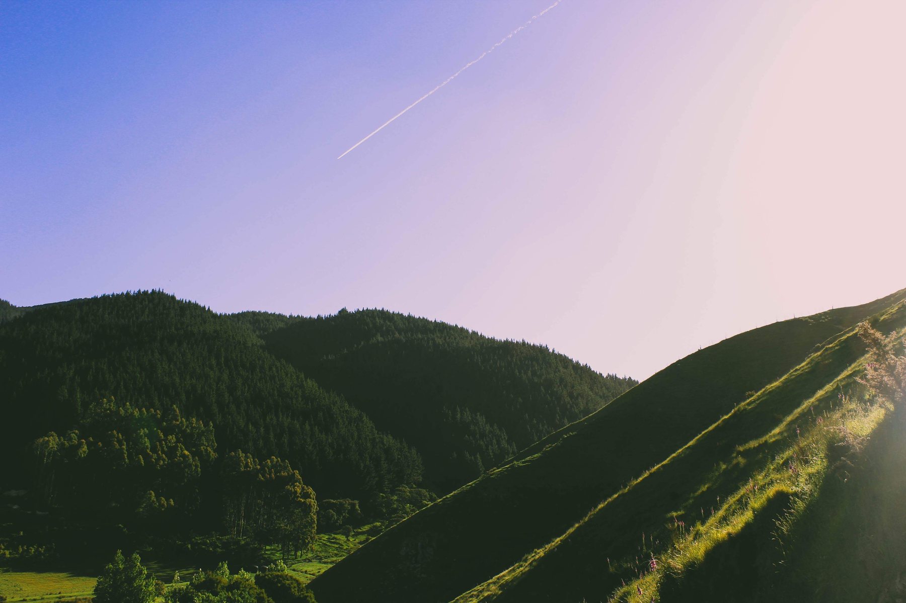 Green misty hills at sunrise with a jet contrail overhead