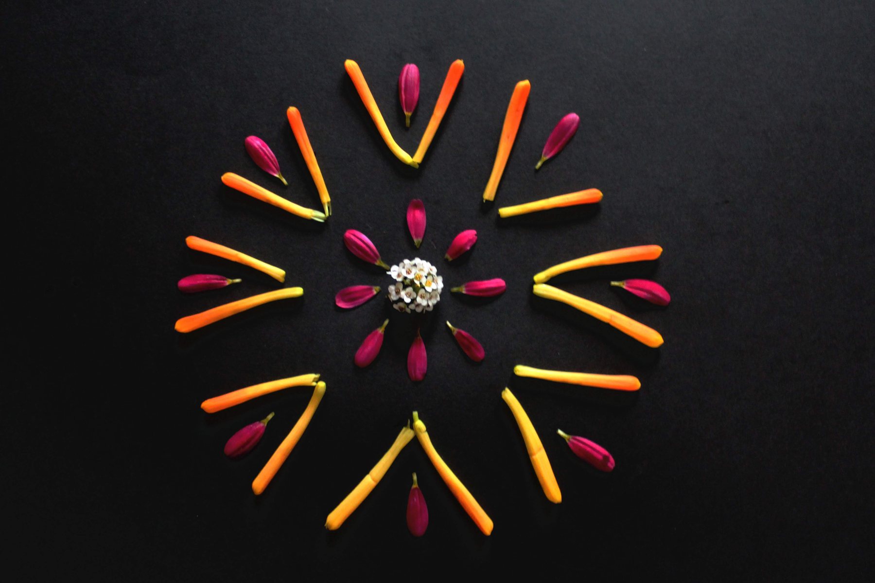 A radial flat-lay arrangement of flowers and carrots on black
