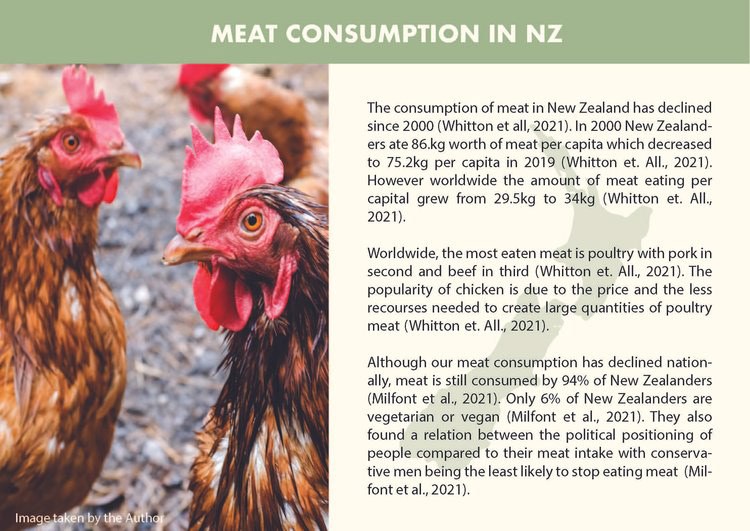 Meat consumption in NZ infographic with supporting statistics