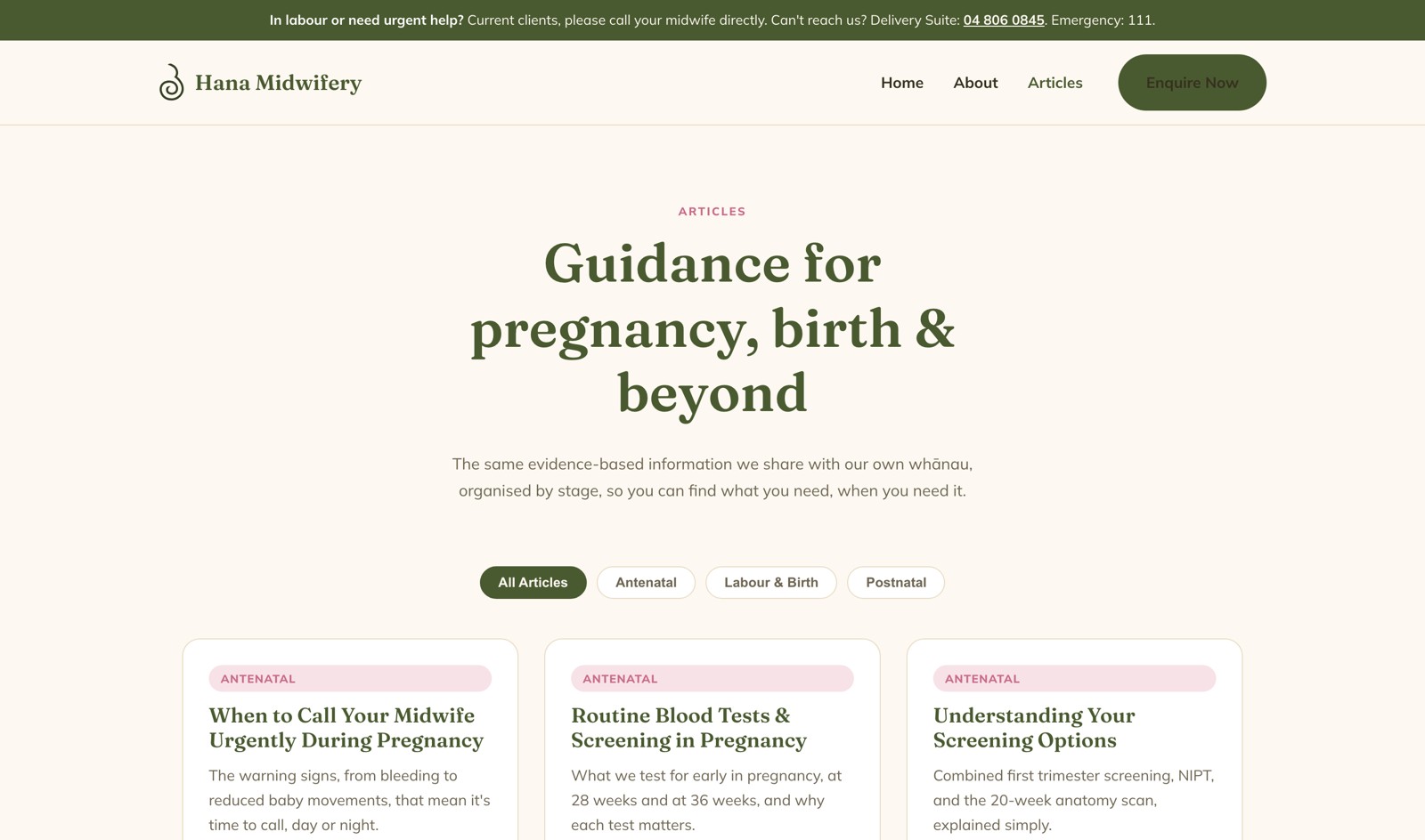 Filterable article grid organised by pregnancy stage, with colour-coded category tags
